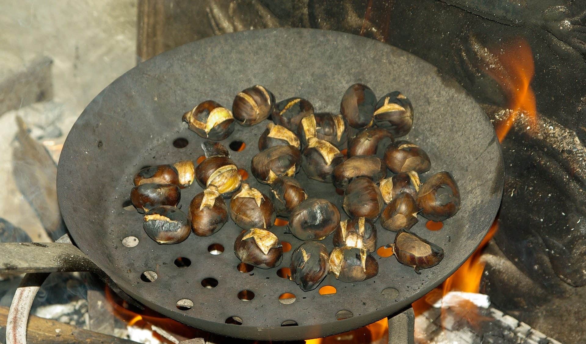 kasztany